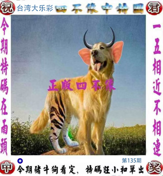 First Image