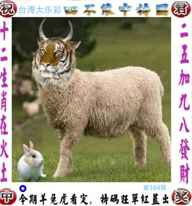 First Image