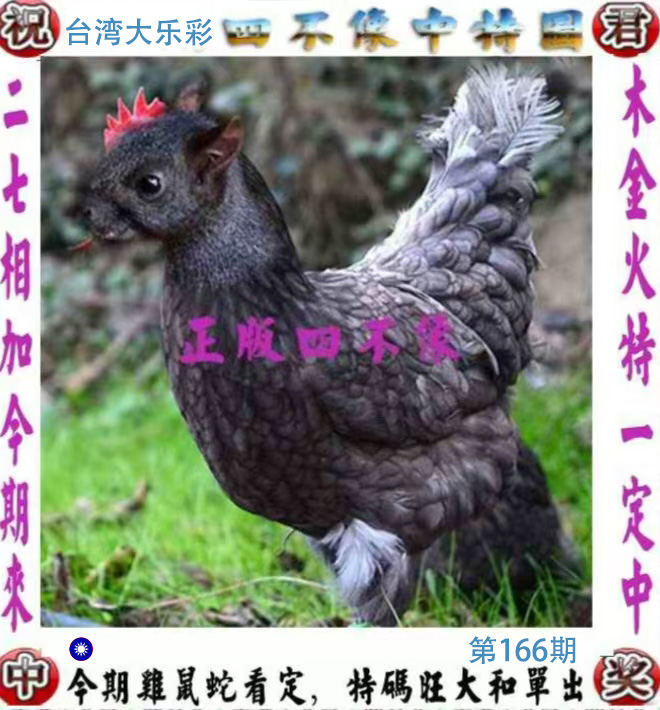 First Image
