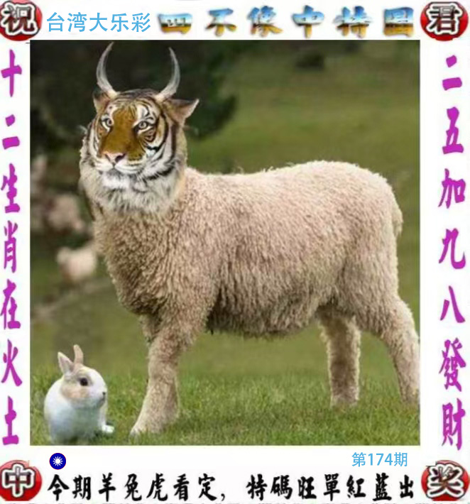 First Image