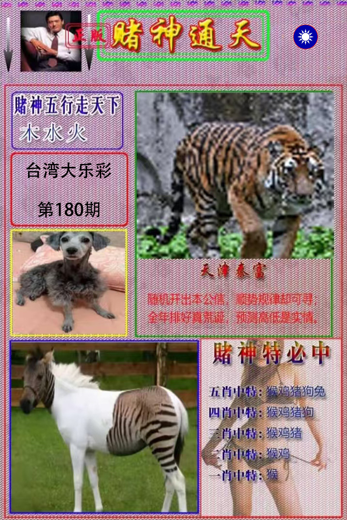 First Image