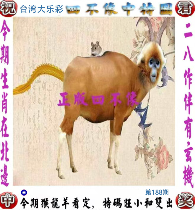 First Image