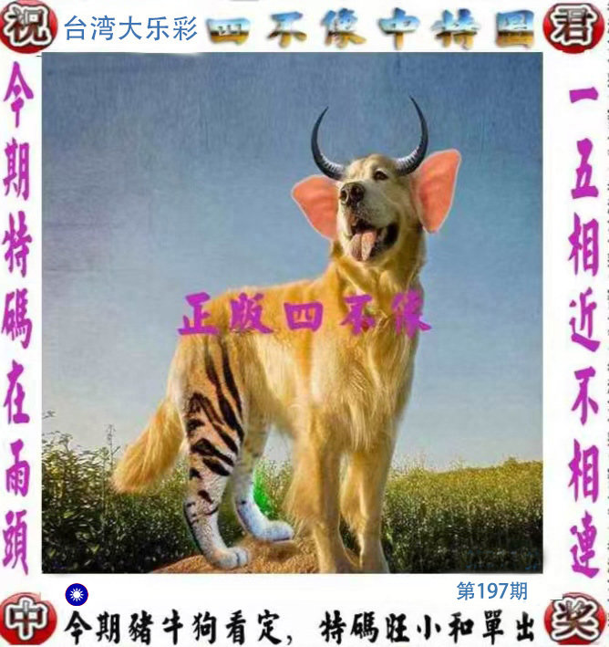 First Image
