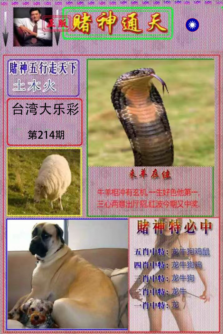 First Image