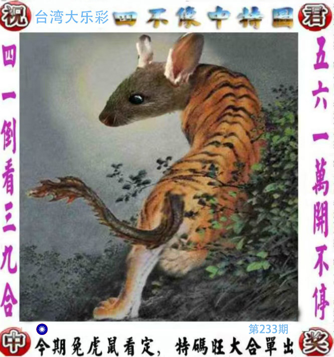 First Image