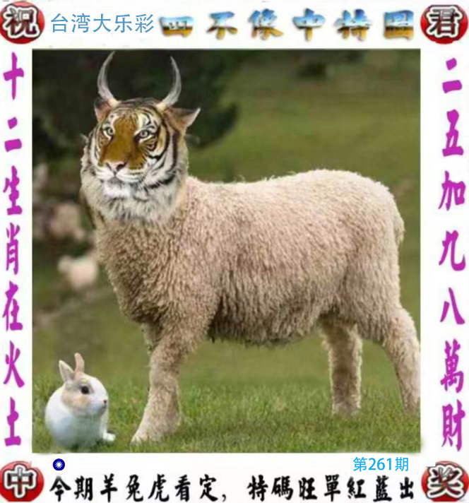 First Image