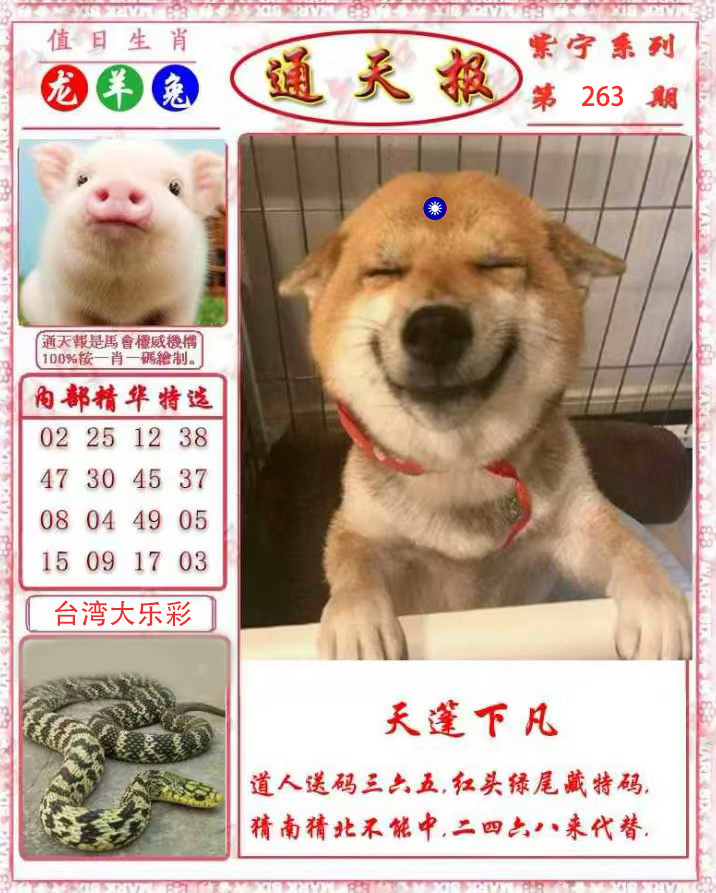 First Image