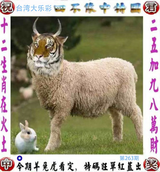 First Image