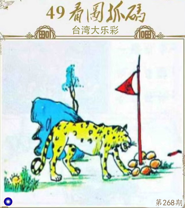 First Image