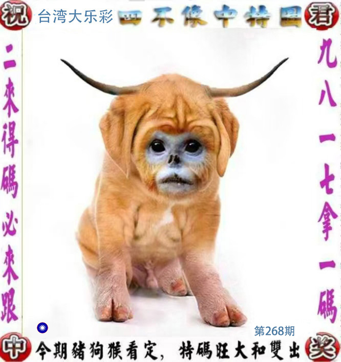 First Image