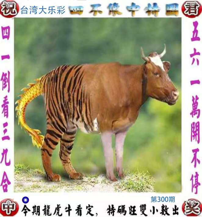 First Image